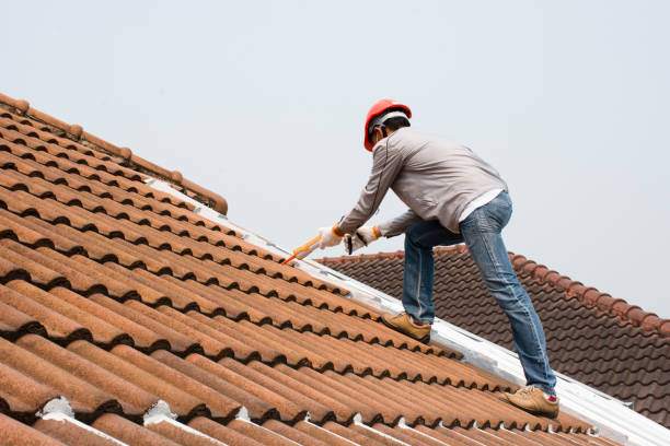 Best Roof Maintenance and Cleaning  in Belleville, WI