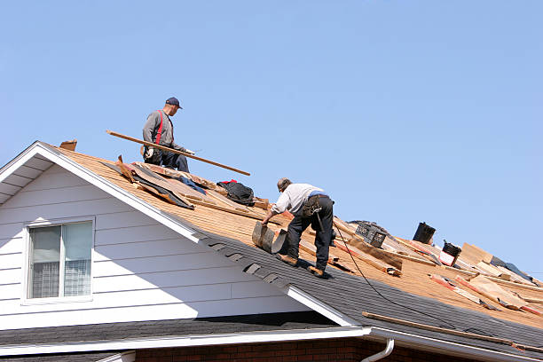 Best Slate Roofing  in Belleville, WI