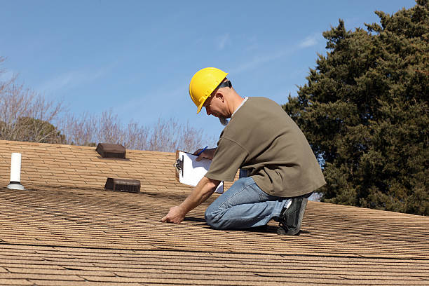 Best Roof Moss and Algae Removal  in Belleville, WI